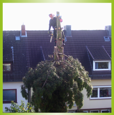 GeBaum Baumpflege